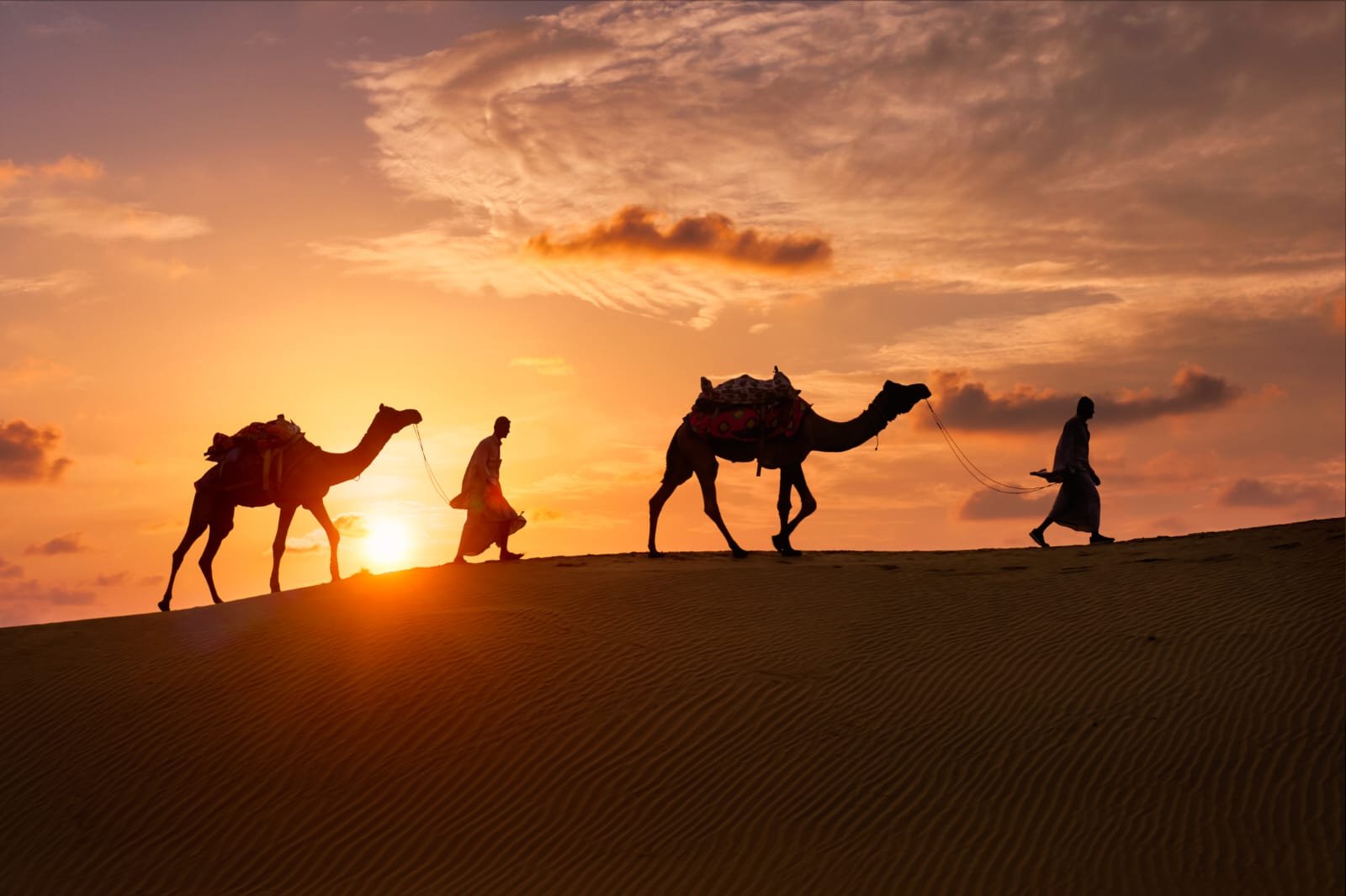 desert camp jaisalmer