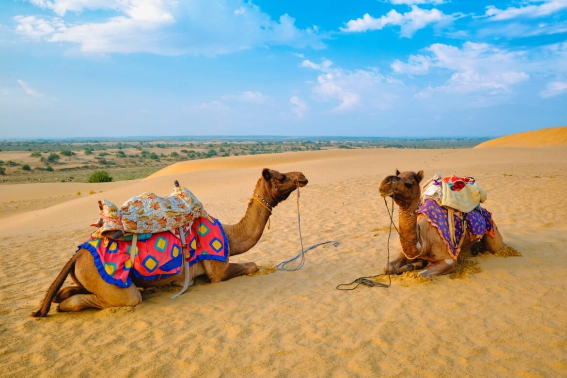 Desert Safari Jaisalmer